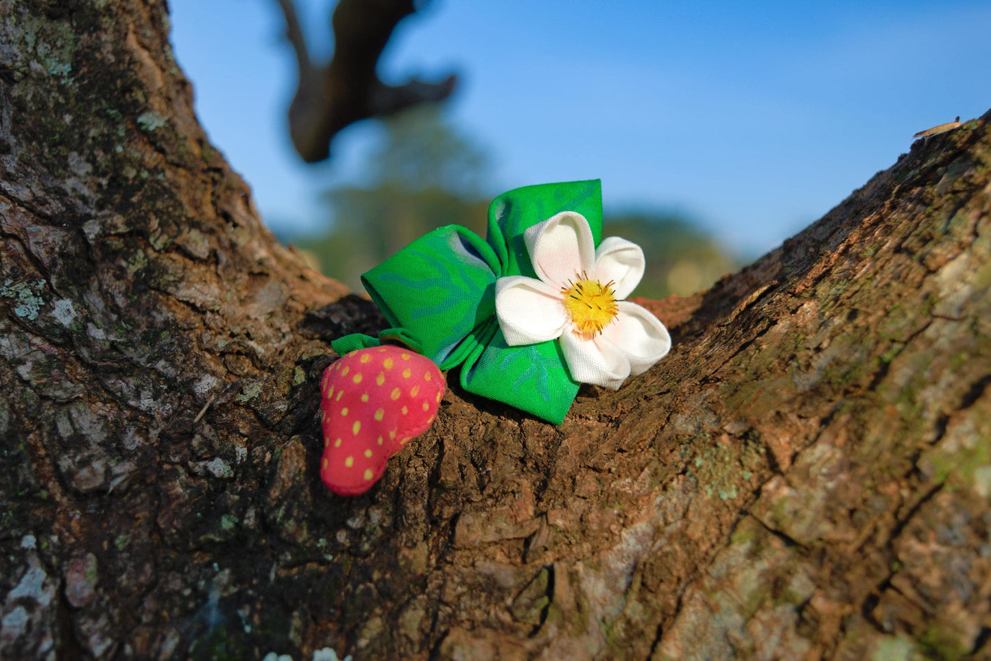 [Pack of 10] Enchanted Strawberry: Do Not Eat (Strawberry scented hair clip)